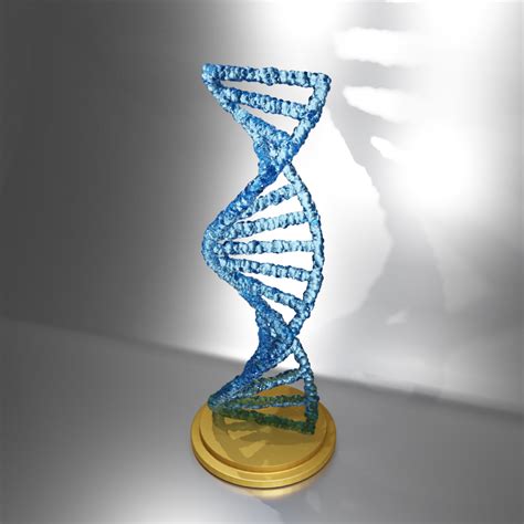 dna 3d print|3d dna model online.